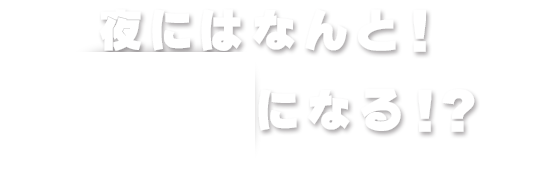 夜にはなんとBARに