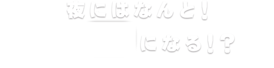 夜にはなんとBARに