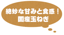 国産玉ねぎ