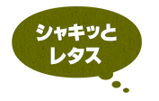 シャキッとレタス